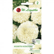 ЛГ ТАГЕТЕС Tagetes erecta creamy-white  