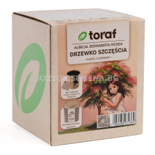 Тораф Комплект в кутия за отглеждане на албиция (Дърво на щастието)