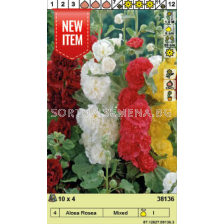 Градинска ружа микс - 1 опаковка - 4 броя