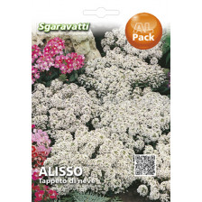 Семена Алисум - бял`SG - Alyssum white`SG 