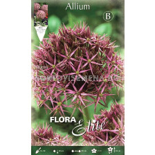 Декоративен лук Allium Christophii - Flora Elite