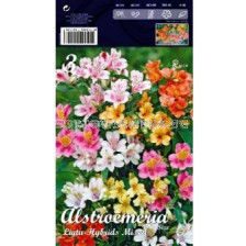 Алстромерия (Alstroemeria) mix