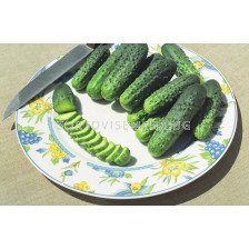 Корнишони Алианц F1- Allianz F1 - Кутия 10 бр. х 250 семена- BEJO