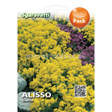 Семена Алисум - жълт `SG - Alyssum yellow `SG