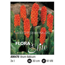 Арум/ Italicum - Пакет: 1 оп. - 3 бр. 