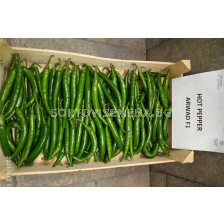 Семена люти чушки Арвад F1 /Bakker Brothers/ - 500 семена