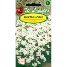 Арабис бял /Arabis alpina white / LG 1 оп 