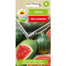 ТОРАФ СЕМЕНА ДИНИ МИКС Arbuz mix odmian | Citrullus lanatus [1 г 