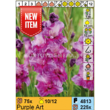 Гладиол Purple Art/ Gladiolus - 1 брой 