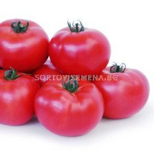 Семена Домати KS 307 F1 - Tomato KS 307 F1