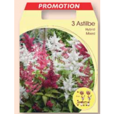 Астилбе микс / astilbe mix / 1 оп ( 3 корена )