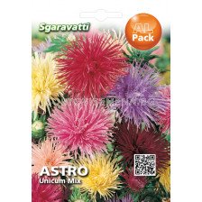 Семена Астра Игличеста смес`SG - Aster mix `SG 