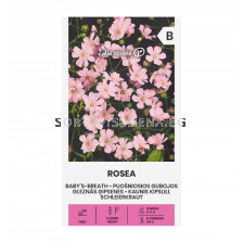 СК Гипсофила (мишорка) розова