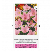 ПЛАТИКОДОН РОЗОВ - BALOON FLOWER - 'SK - 0.1г