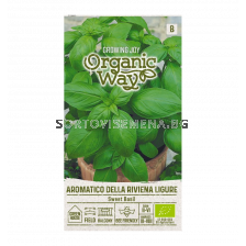 СК СЕМЕНА БОСИЛЕК СЛАДЪК РИВЕНА OW BASIL SWEET AROMATICO DELLA RIVIENA