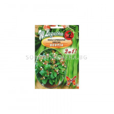 Многоцветен фасул (катерещ се, джудже) Hestia - Bean Runner (30.00+10.00g)-Legutko