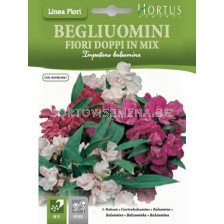 Импасианс балсамина кичест микс BTS - BL