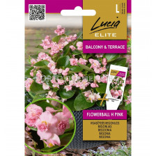 СК СЕМЕНА БЕГОНИЯ ЦВЕТНА РОЗОВА ТОПКА Х BEGONIA FLOWERBALL H PINK - 30 семена