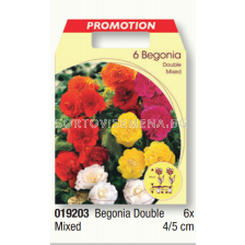 Бегония двойна микс/ Begonia double mixed - 1 пакет - 6 броя