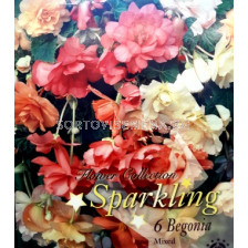 Бегонии (Begonias) Mix Sparkling