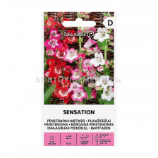 СК  СЕМЕНА ПЕНСТЕМОН PENSTEMON, HARTWEG SENSATION  