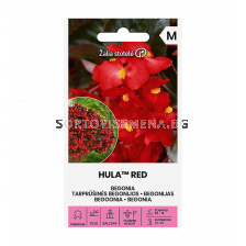 СК БЕГОНИЯ ХУЛА BEGONIA HULA™ RED  