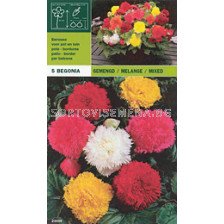 Бегония Fimbriata микс 10 бр
