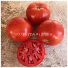 Семена домати Бетания/ TOMATO BETANIA F1 - 500 семена