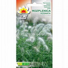 ТОРАФ ПЕНИСЕТУМ Trawa Rozplenica Kosmata | Pennisetum Villosum  