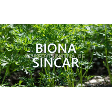 Biona Sincar – Биона Синкар - 1л