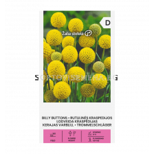СК КРАСПЕДИЯ BILLY BUTTONS 