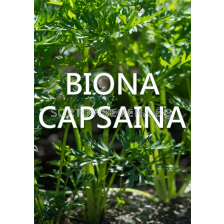 Biona Capsaina - Биона Капсаина 