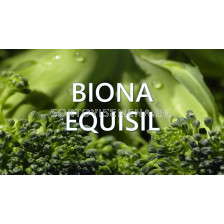Biona Equisil – Биона Екуизил -1 л