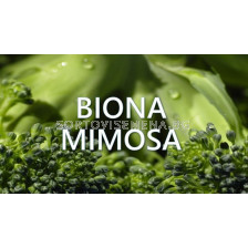 Biona Mimosa – Биона Мимоза - 1л