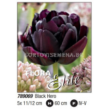 Лале/ Tulipa double late Black Hero: Пакет: 1 оп- 5 бр.