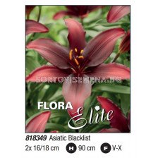 Лилиум/ Lilium asiatic Blacklist - Пакет: 1 оп. - 2 бр.