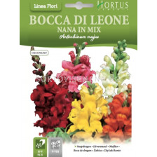 Кученца NANA MIX BTS - BL