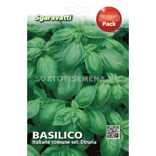 Семена Босилек (Basil) Italiano Comune Sel. Etruria`SG 