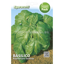 Семена босилек Napoletano Bolloso`SG