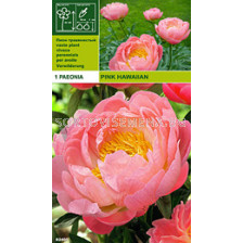 Божур (Peony) Pink Hawaiian (aromatic)