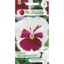 ЛГ ТЕМЕНУЖКА БЯЛО-ВИОЛЕТОВА  Viola x wittrockiana white with pinkblotch 