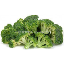 Семена броколи Маратон F1 - broccoli Maraton F1