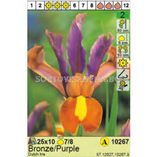 Ирис/  Dutch Iris Bronze/Purple - Пакет: 1 оп.- 10 бр.