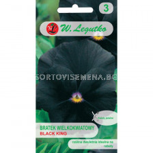 Градинска теменуга черна Black King -Viola x wittrockiana (0.40g)- Legutko