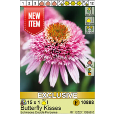 Ехинацея Butterfly Kisses/ Echinacea Double Purpurea - 1 брой