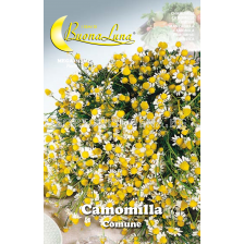 Семена Лайка MEGA PACK - BL