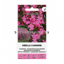 СК КАМПИОНА ВИСЯЩА CAMPION SIBELLA CARMINE  