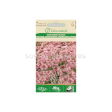 Седум Spurium - Sedum - 'SK- 0,15 г