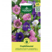 СК СЕМЕНА КАМПАНУЛА CANTERBURY BELLS CUP&SAUCER  SK