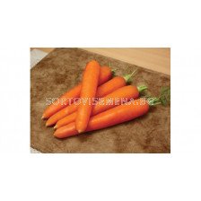 Моркови CARLO F1- 100 000 сем